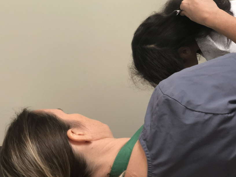 Head Lice Treatment Removal Service in Mid Hudson Valley, New York